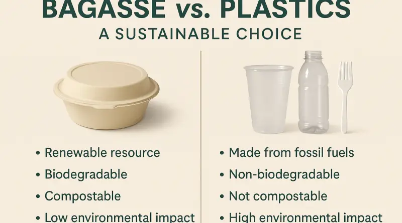 bagasse vs. Plastics: A Sustainable Choice