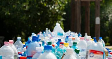 EU Bans Single-Use Plastic Wrapping