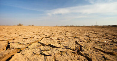 climate change